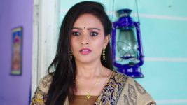 Paape Maa Jeevana Jyothi S01E77 Priya Learns the Truth Full Episode