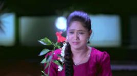 Paaru S01E11 17th December 2018 Full Episode