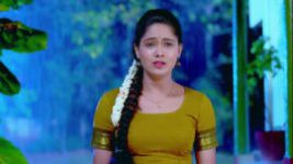 Paaru S01E116 10th May 2019 Full Episode