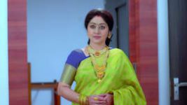 Paaru S01E117 12th May 2019 Full Episode