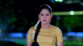 Paaru S01E128 28th May 2019 Full Episode