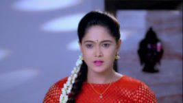 Paaru S01E161 12th July 2019 Full Episode