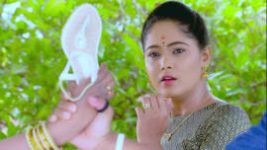 Paaru S01E165 18th July 2019 Full Episode