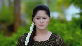 Paaru S01E176 1st August 2019 Full Episode