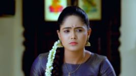 Paaru S01E184 13th August 2019 Full Episode