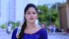 Paaru S01E21 31st December 2018 Full Episode