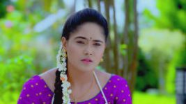 Paaru S01E211 19th September 2019 Full Episode