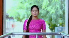 Paaru S01E221 3rd October 2019 Full Episode