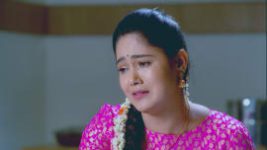 Paaru S01E228 14th October 2019 Full Episode