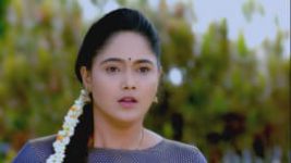 Paaru S01E233 17th October 2019 Full Episode