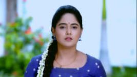 Paaru S01E241 25th October 2019 Full Episode