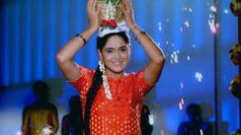 Paaru S01E243 29th October 2019 Full Episode