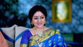 Paaru S01E245 31st October 2019 Full Episode