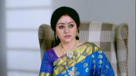 Paaru S01E246 1st November 2019 Full Episode