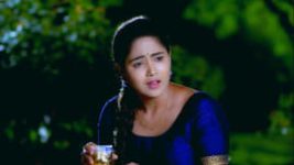 Paaru S01E250 7th November 2019 Full Episode
