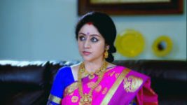 Paaru S01E252 11th November 2019 Full Episode