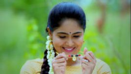 Paaru S01E253 12th November 2019 Full Episode