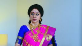 Paaru S01E255 14th November 2019 Full Episode
