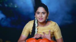 Paaru S01E257 18th November 2019 Full Episode