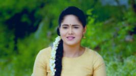 Paaru S01E259 20th November 2019 Full Episode