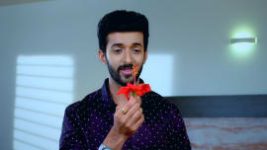 Paaru S01E261 22nd November 2019 Full Episode