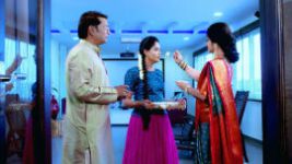 Paaru S01E262 25th November 2019 Full Episode