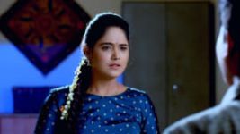 Paaru S01E263 26th November 2019 Full Episode