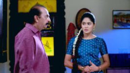 Paaru S01E264 27th November 2019 Full Episode