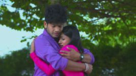 Paaru S01E268 3rd December 2019 Full Episode