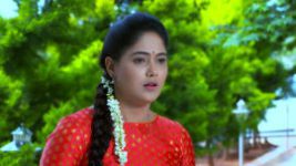 Paaru S01E269 4th December 2019 Full Episode