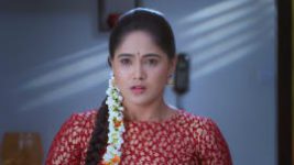 Paaru S01E274 11th December 2019 Full Episode