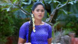 Paaru S01E278 17th December 2019 Full Episode