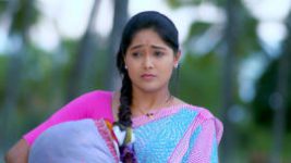 Paaru S01E281 20th December 2019 Full Episode