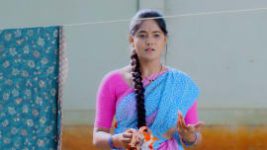 Paaru S01E284 25th December 2019 Full Episode