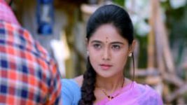 Paaru S01E288 31st December 2019 Full Episode