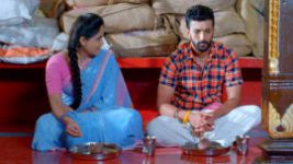 Paaru S01E291 3rd January 2020 Full Episode