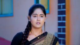 Paaru S01E294 8th January 2020 Full Episode