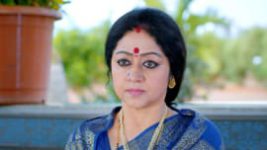 Paaru S01E297 13th January 2020 Full Episode