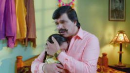 Paaru S01E298 14th January 2020 Full Episode