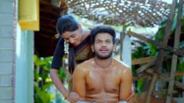 Paaru S01E301 17th January 2020 Full Episode