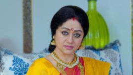 Paaru S01E302 20th January 2020 Full Episode
