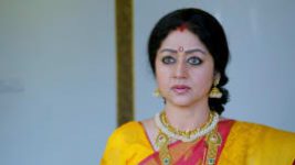 Paaru S01E303 21st January 2020 Full Episode