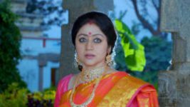 Paaru S01E306 24th January 2020 Full Episode