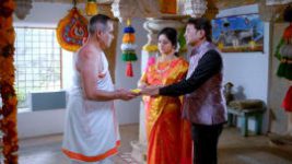 Paaru S01E308 28th January 2020 Full Episode