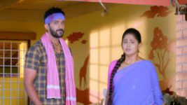 Paaru S01E310 30th January 2020 Full Episode