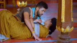 Paaru S01E317 10th February 2020 Full Episode