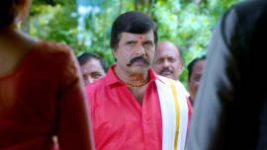 Paaru S01E319 11th February 2020 Full Episode