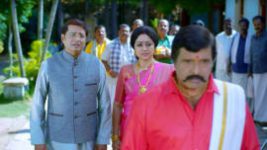 Paaru S01E320 11th February 2020 Full Episode