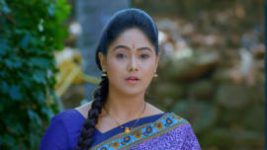 Paaru S01E325 14th February 2020 Full Episode