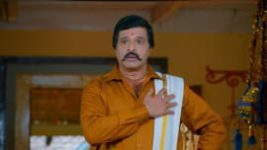 Paaru S01E326 14th February 2020 Full Episode